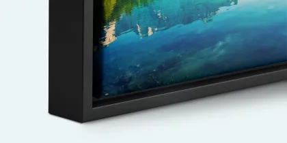 Framed canvas prints